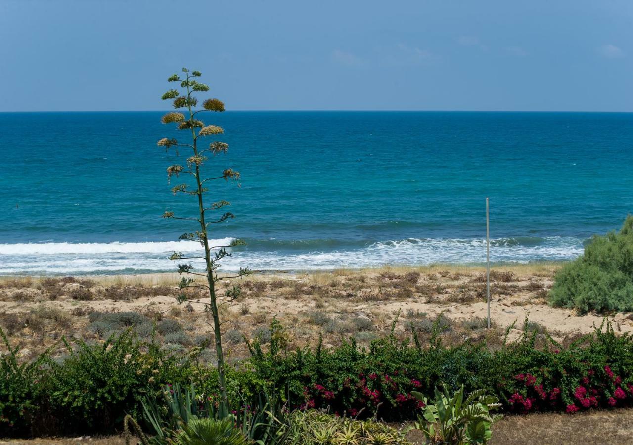 Апартаменты Ha-Aliya Sea View Нагария Экстерьер фото